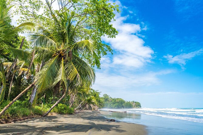 Private Tour to Black Sand Beach in The Southeast of Puerto Rico - Transportation Options