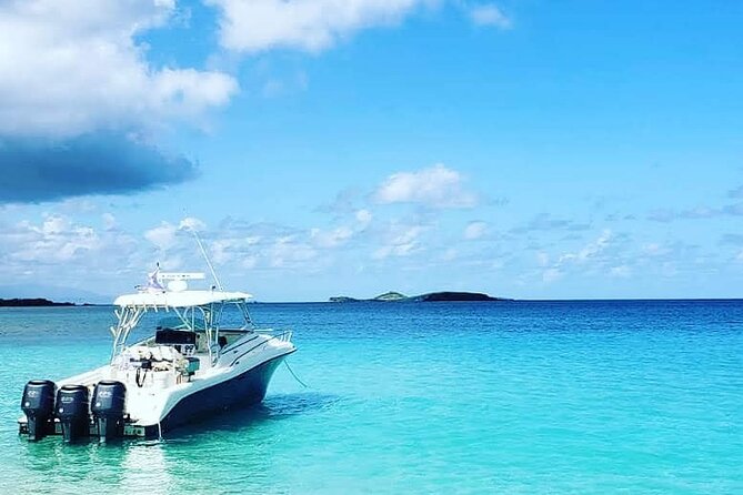Private Tour to Cayo Icacos and Palomino Island - Key Points
