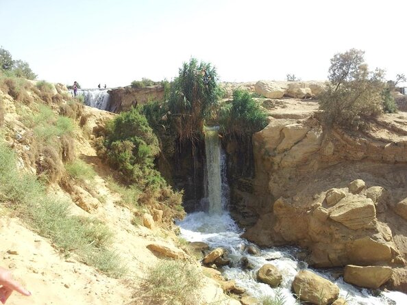 Private Tour to Fayoum Oasis, Valley of the Whales & Wadi Al Rian From Cairo. - Good To Know