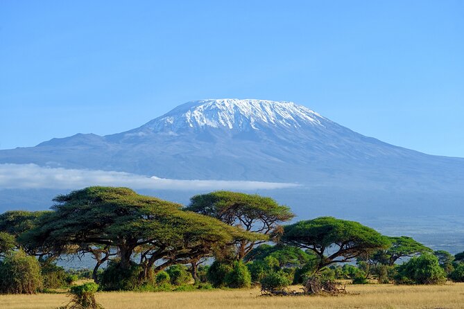 Private Tour to Marangu Waterfalls, Chagga Caves, Coffee Tour & Hot Springs - Key Points