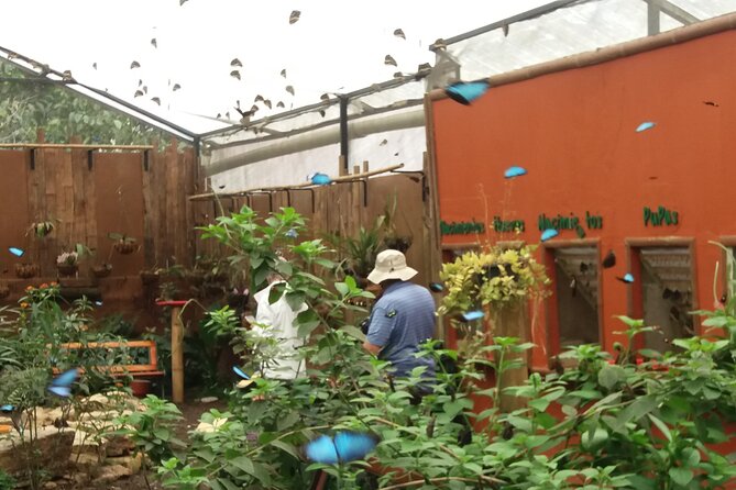 Private Tour to Mindo With Hummingbird Reserve, Tarabita and Butterfly Farm - Good To Know