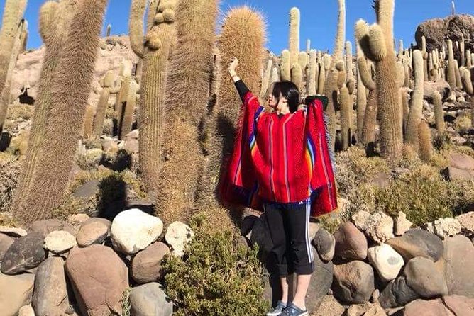 Private Tour to Salar De Uyuni From San Pedro De Atacama, Chile (Vip) - Tour Overview