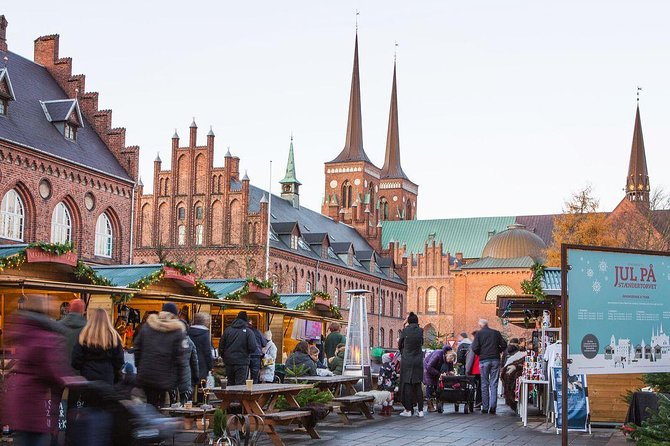 Private Tour to Vikings City Roskilde Review - Key Points