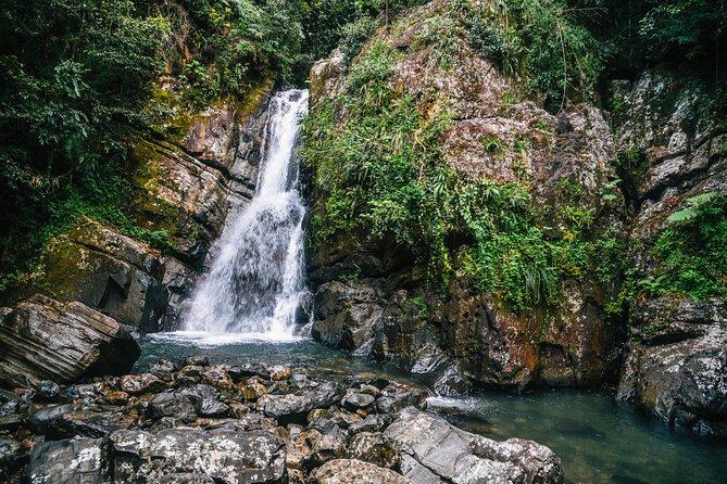 Private Tour to Waterfall in Puerto Rico - Key Points