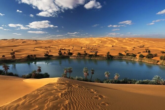 Private Tour Whales Valley And Wadi El Rayan Waterfalls In El Fayoum From Cairo - Tour Overview and Highlights