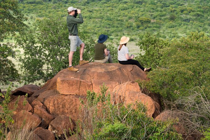 Private Ultimate Pilanesberg Safari From Johannesburg - Good To Know