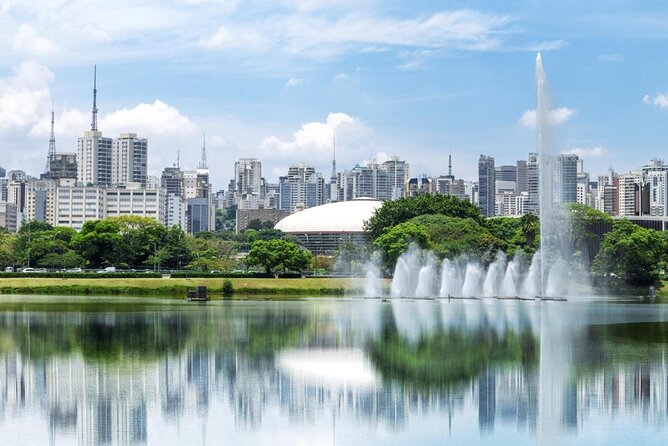 Private VW Bus Tour With Ibirapuera Park and Batman'S Alley Visit - Good To Know
