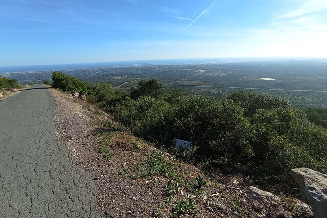 Private Walking Tour and Guided Picnics With Local Food and Wine - Tour Overview and Inclusions