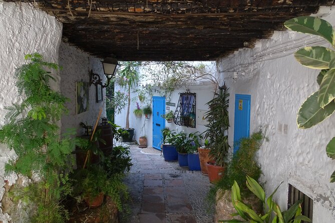 Private Walking Tour Around the Old Town of Frigiliana - Good To Know