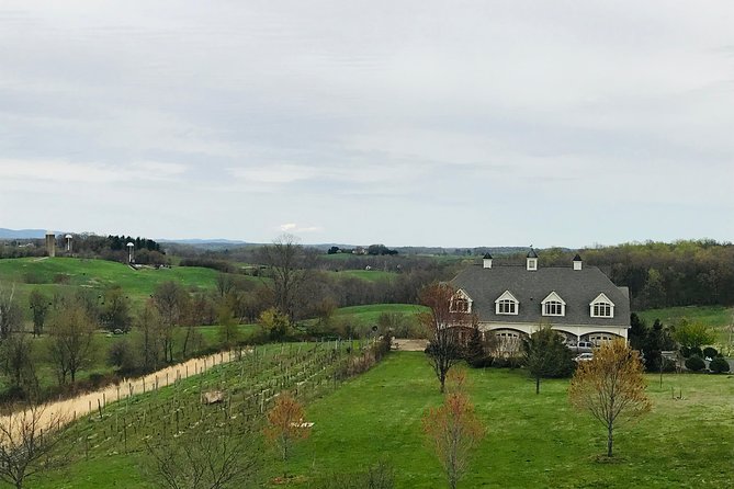 Private Washington DC Virginia Winery Wine Tasting Tour -Spirited - Winery Tasting Experiences