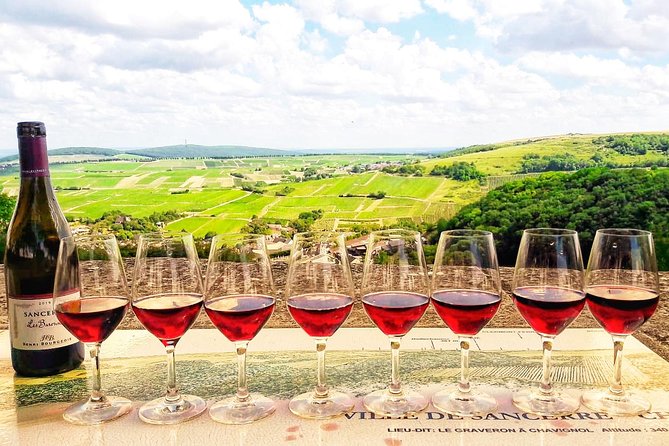 Private Wine & Cheese Tour to Loire Valley Vineyards From Paris - Good To Know
