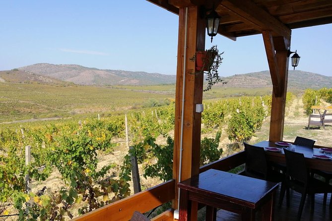 Private Wine Tour of Chateau Sopot Winery From Skopje - Overview of the Private Wine Tour