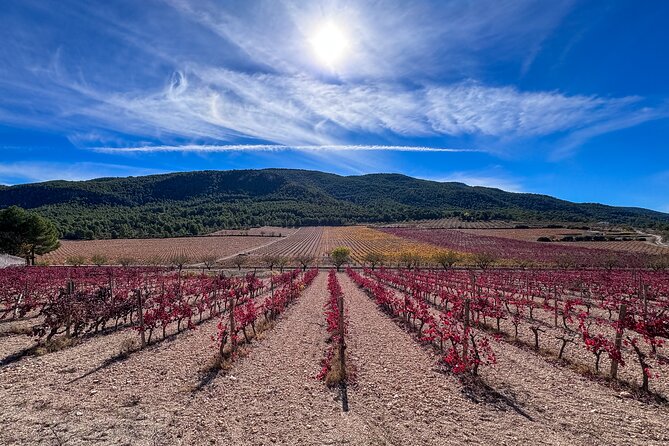 Private Wine Tour to the Costa Blanca Wineries - Tour Overview