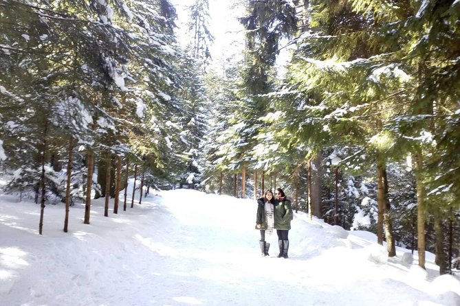 Private Winter Day Trip to the Rila Mountain - Overview of the Day Trip