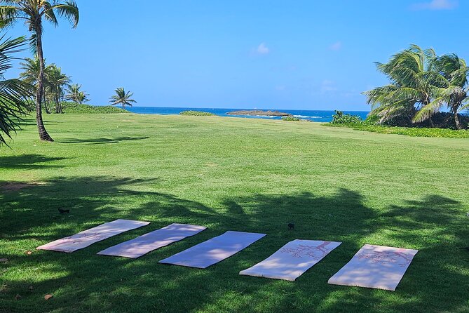 Private Yoga Class at the Beach With Transportation From San Juan - Good To Know