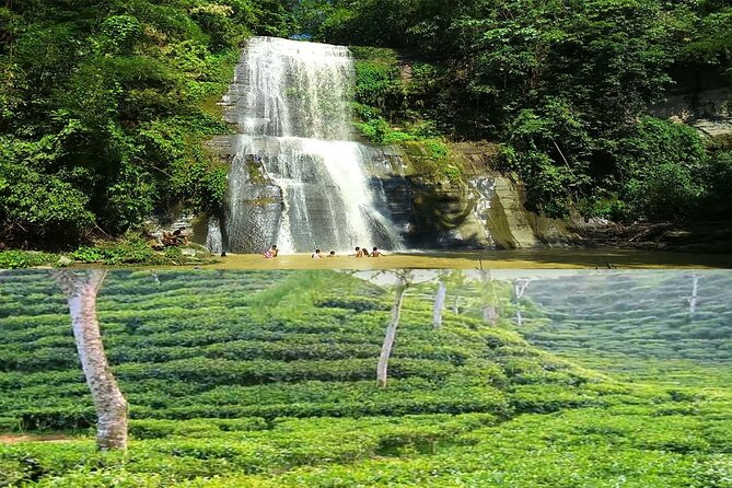 Professional Tour Guide Hire in Sreemangal