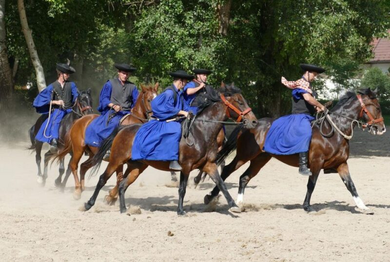 Puszta Tour and Horse Show - Itinerary Highlights