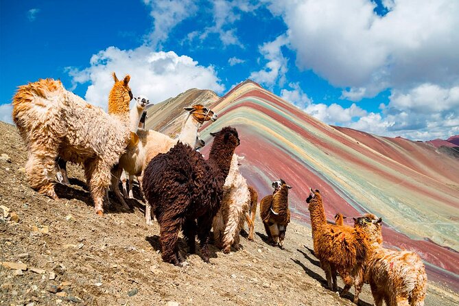 Rainbow Mountain in One Day From Cusco  (Private Service) - Good To Know