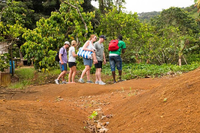 Rainforest Hike - Good To Know