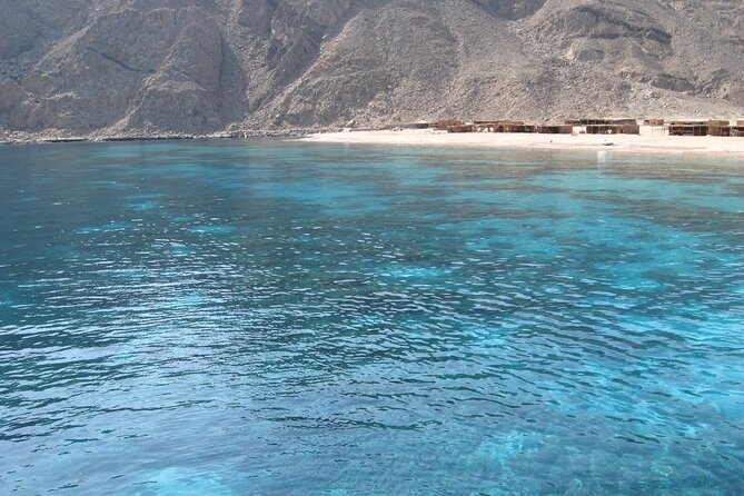 Ras Abu Gallum & Blue Hole Snorkel Safari by Jeep and Camel - Tour Highlights