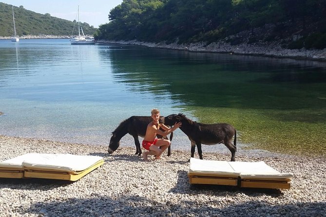 Red Rocks & Southern Side Of Hvar Private Tour - Good To Know