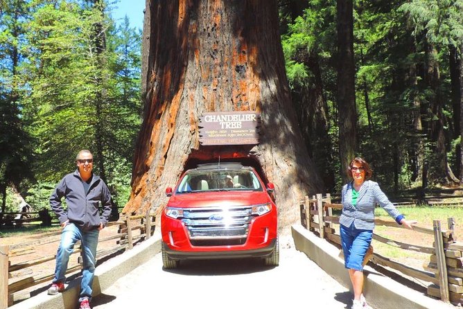 Redwood National Park Tour 2-Day Private Tour Package Hotel Included - Good To Know
