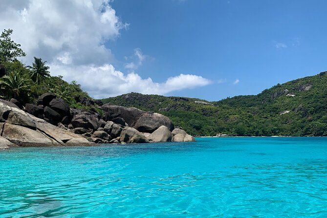 Reef Safari - Snorkeling, Fish Feeding & Lunch (Shared Day Trip) - Good To Know