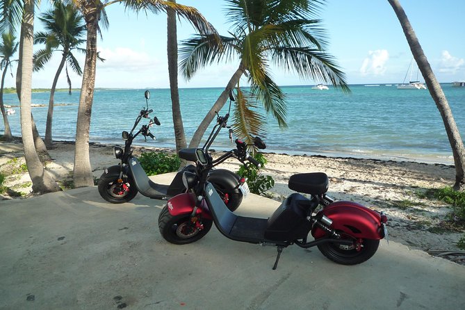 Rental of Electric Scooters - Good To Know