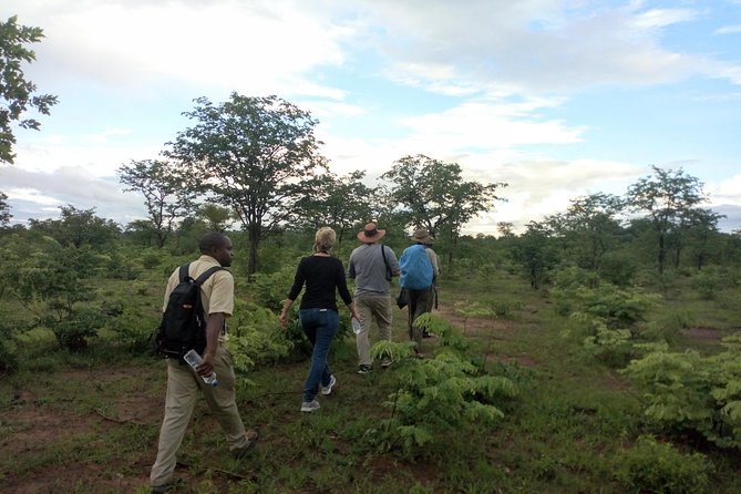 Rhino & Nature Walk in the Musiotunya National Park - Key Points