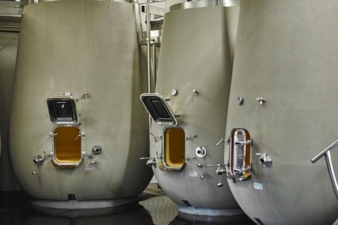 Rhone Valley Wine Tasting - Tour Highlights
