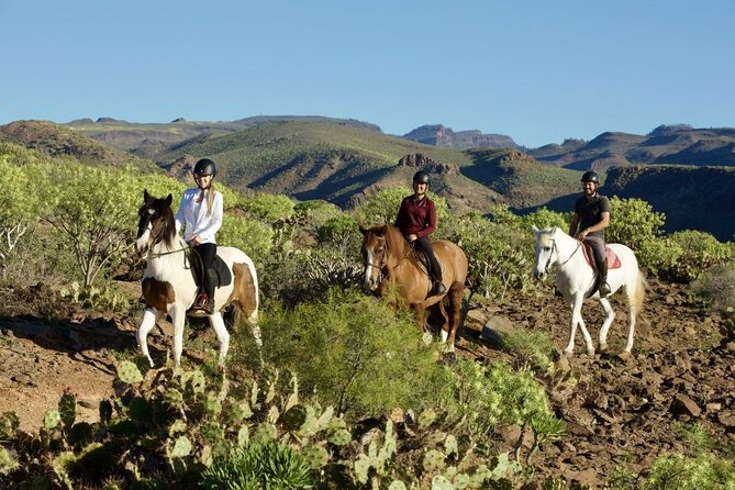 Riding 2 Hours Along the Maspalomas Route - Meeting Point and Pickup