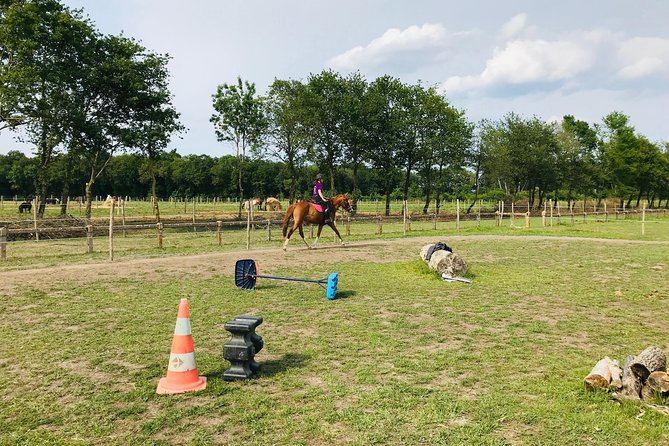 Riding Course for All Levels 1/2 Day (3 Hours) - Good To Know