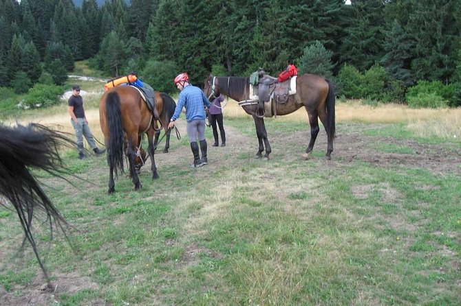 Rila Trail Riding for Experienced Riders
