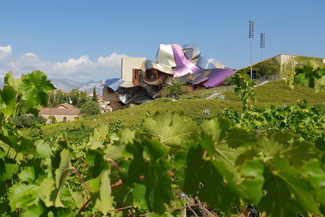 Rioja Wine Tour: 2 Wineries From Pamplona - Good To Know