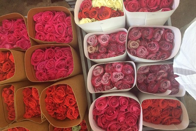 Roses & Horseback Riding (Private Day Trip From Quito) - Stunning Volcanic Landscapes