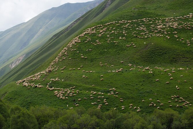 Round-Trip Bus Transfer to Truso Valley From Kazbegi - Good To Know