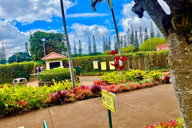 Roundtrip Shuttle From Waikiki to Dole Plantation & Haleiwa Town - Good To Know