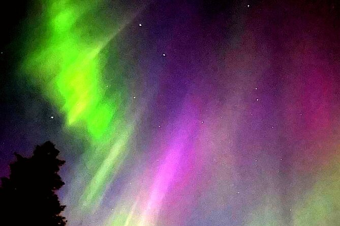 Rovaniemi: Aurora Hunting & Photography Tour - Tour Highlights