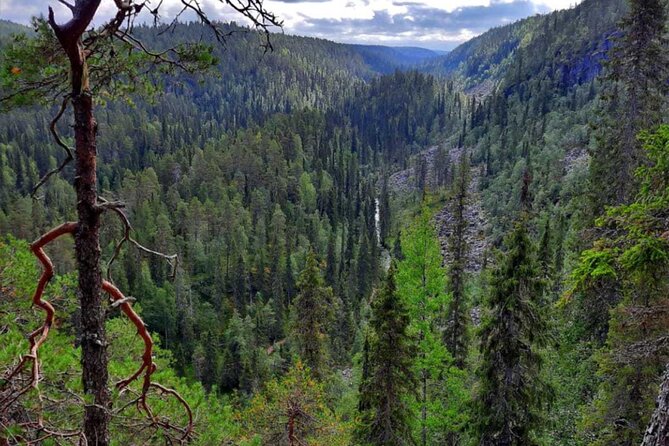 Rovaniemi: Korouoma Canyon & Waterfalls Tour With BBQ - Good To Know