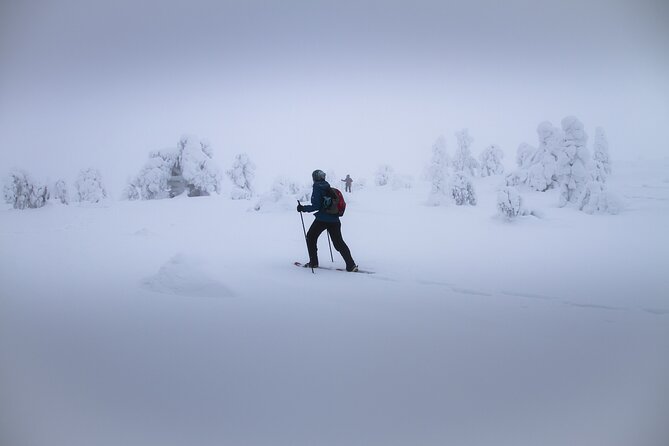 Rovaniemi Snowshoe Excursion - Key Points