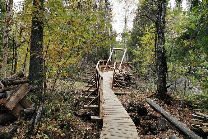 Rovaniemi: Vaattunkikönkä Nature Trail Hiking Tour - Good To Know