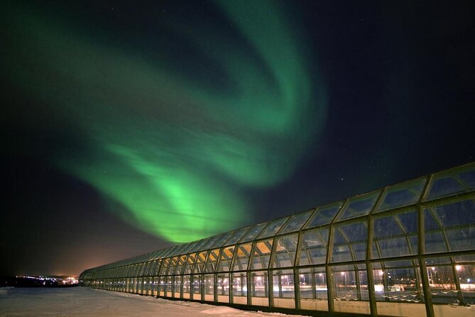 Rovaniemi Walking Tour and Guided Arktikum Experience - Good To Know