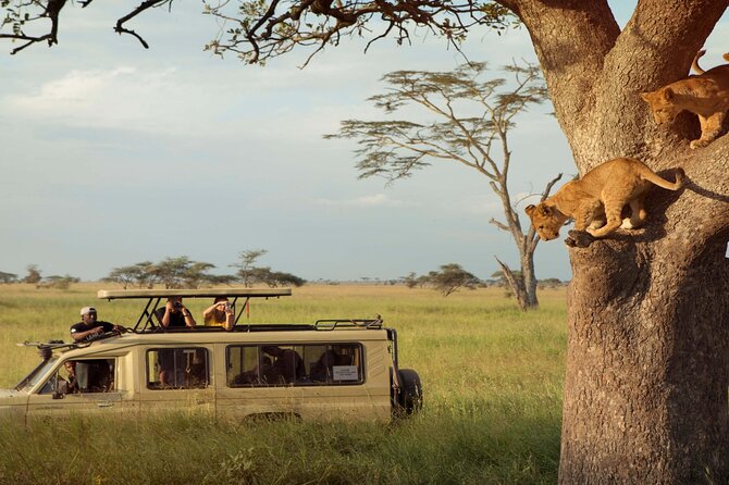 Royal Day Trip to Selous/Nyerere Park Fly Safari From Zanzibar - Key Points