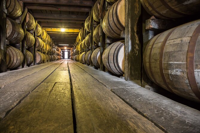 Rum Production Private Tour in Martinique - Key Points