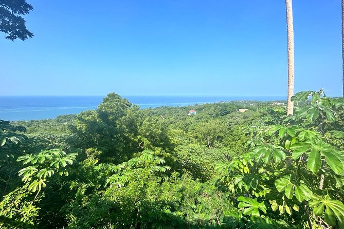 Rum Tasting, Chocolate and Wildlife Adventure - About Your Stay