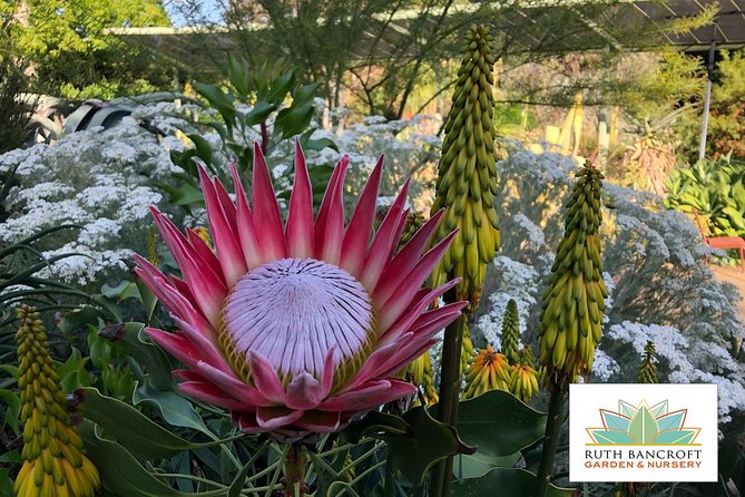 Ruth Bancroft Garden General Admission Ticket - Good To Know