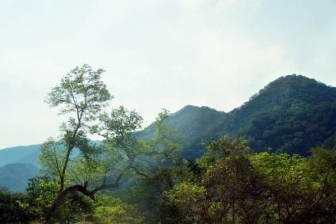 RZR Tour - Río Cuale, Sierra Madre & Tequila Tasting - 3 Hours - Key Points