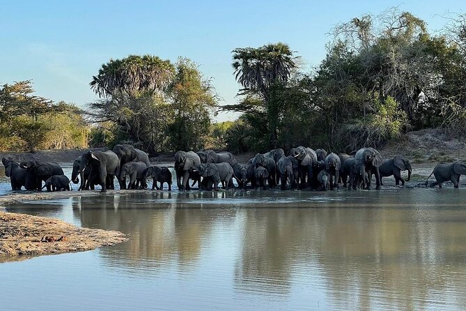Saadani National Park Day Tour - Good To Know