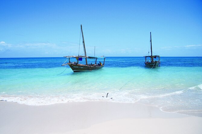 Safari Blue Private Full-Day Tour - Key Points