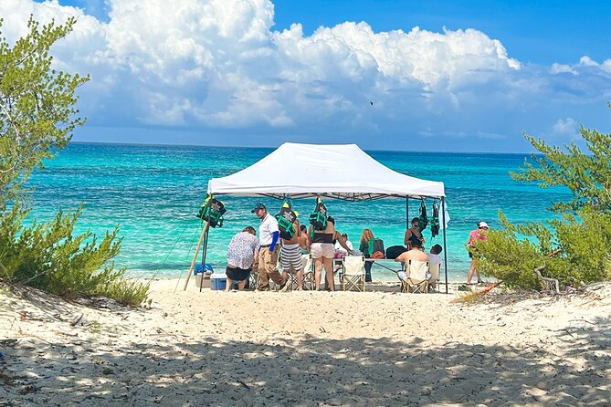 Safari Tour – Paradisiacal Excursion to Bahia De Las Águilas - Good To Know